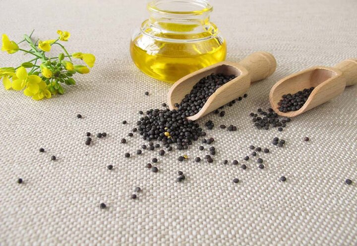 چالش‌های روغن‌کشی از کمبود مواد اولیه تا زمان‌بر شدن تصمیمات